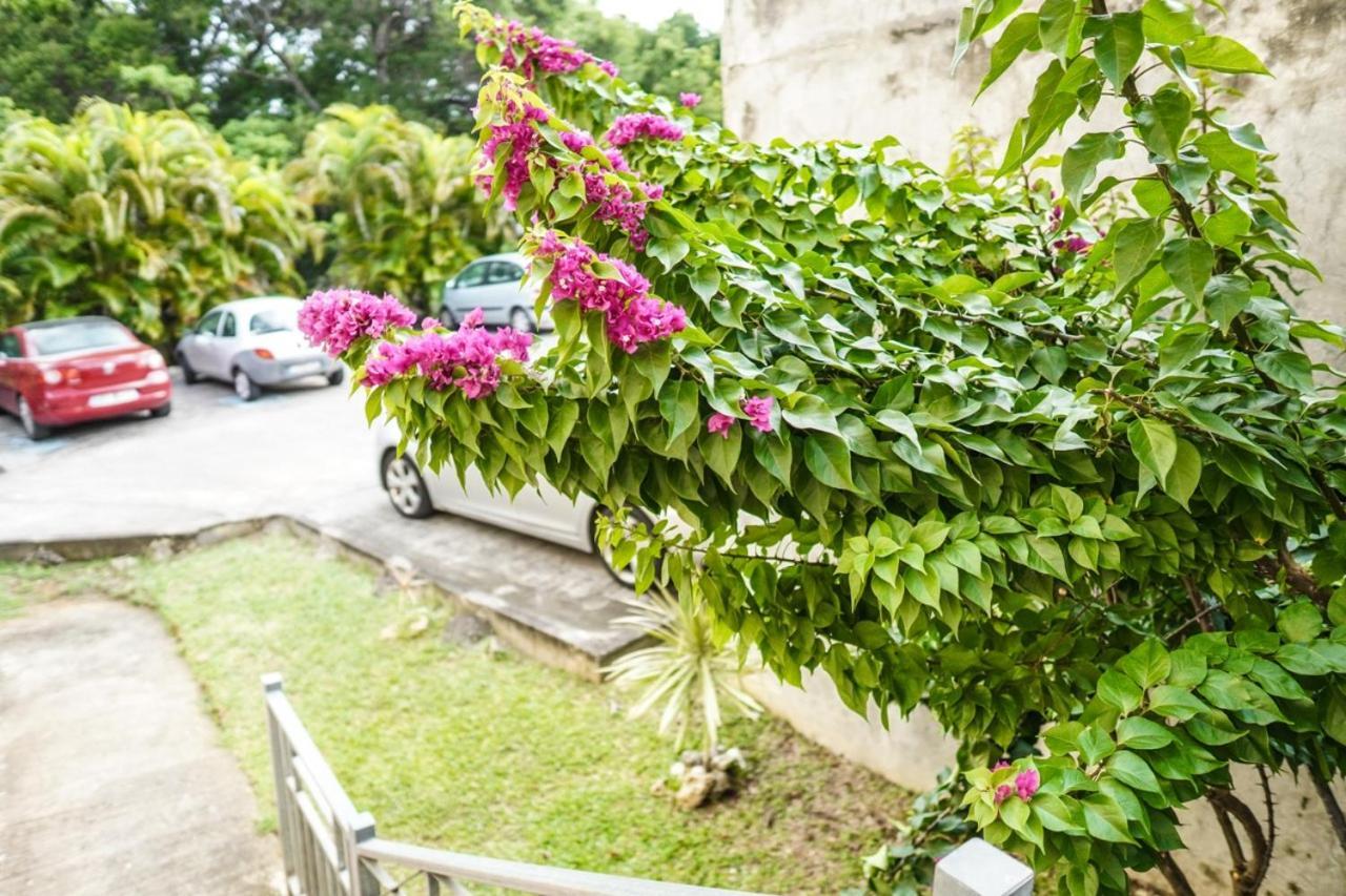 Color Garden - Studio Martinique Sainte-Anne Exterior foto