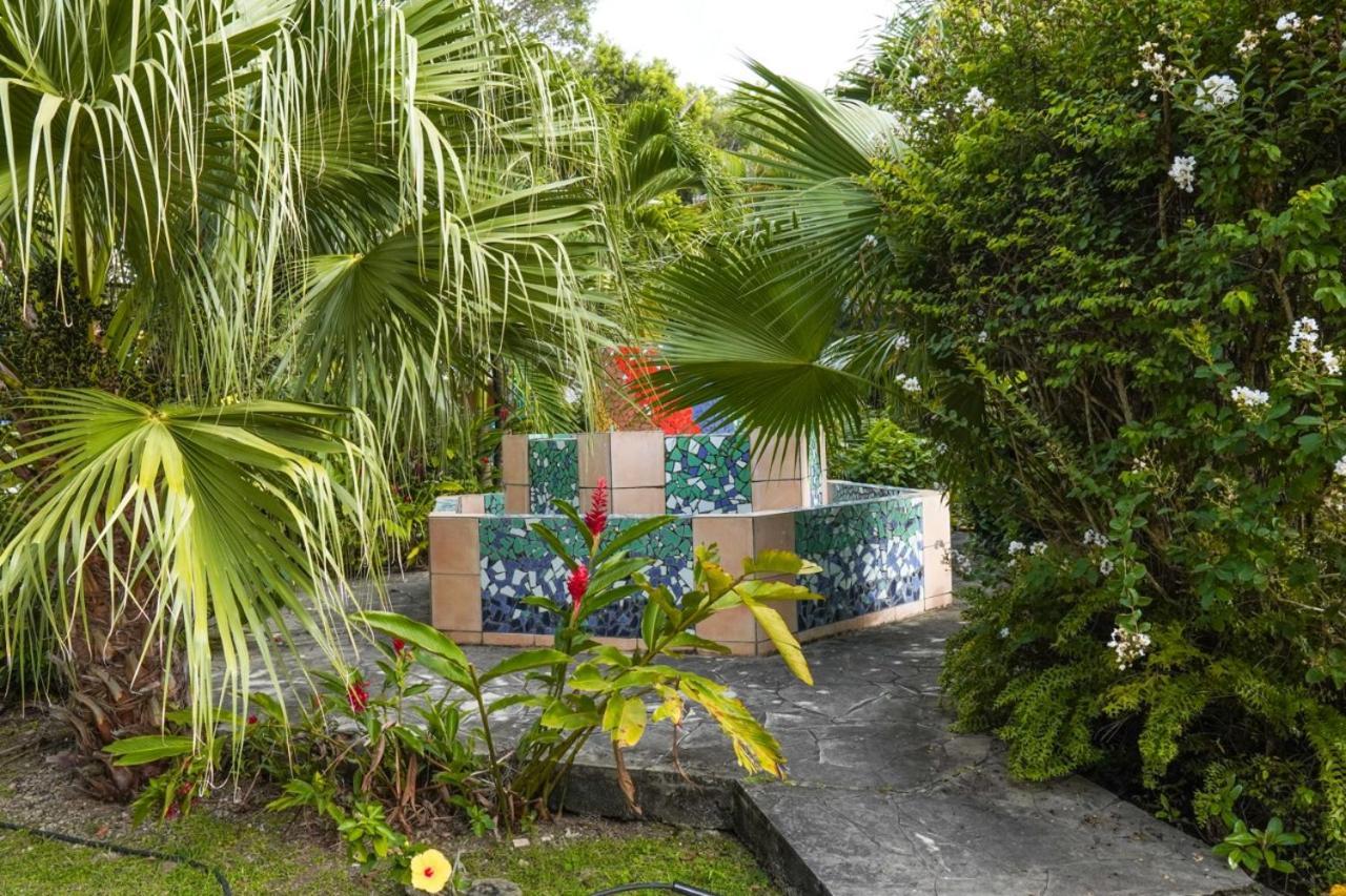 Color Garden - Studio Martinique Sainte-Anne Exterior foto