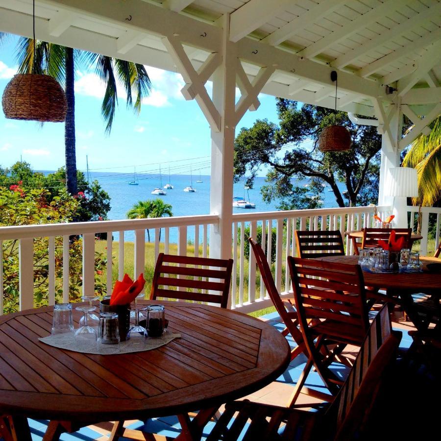 Color Garden - Studio Martinique Sainte-Anne Exterior foto